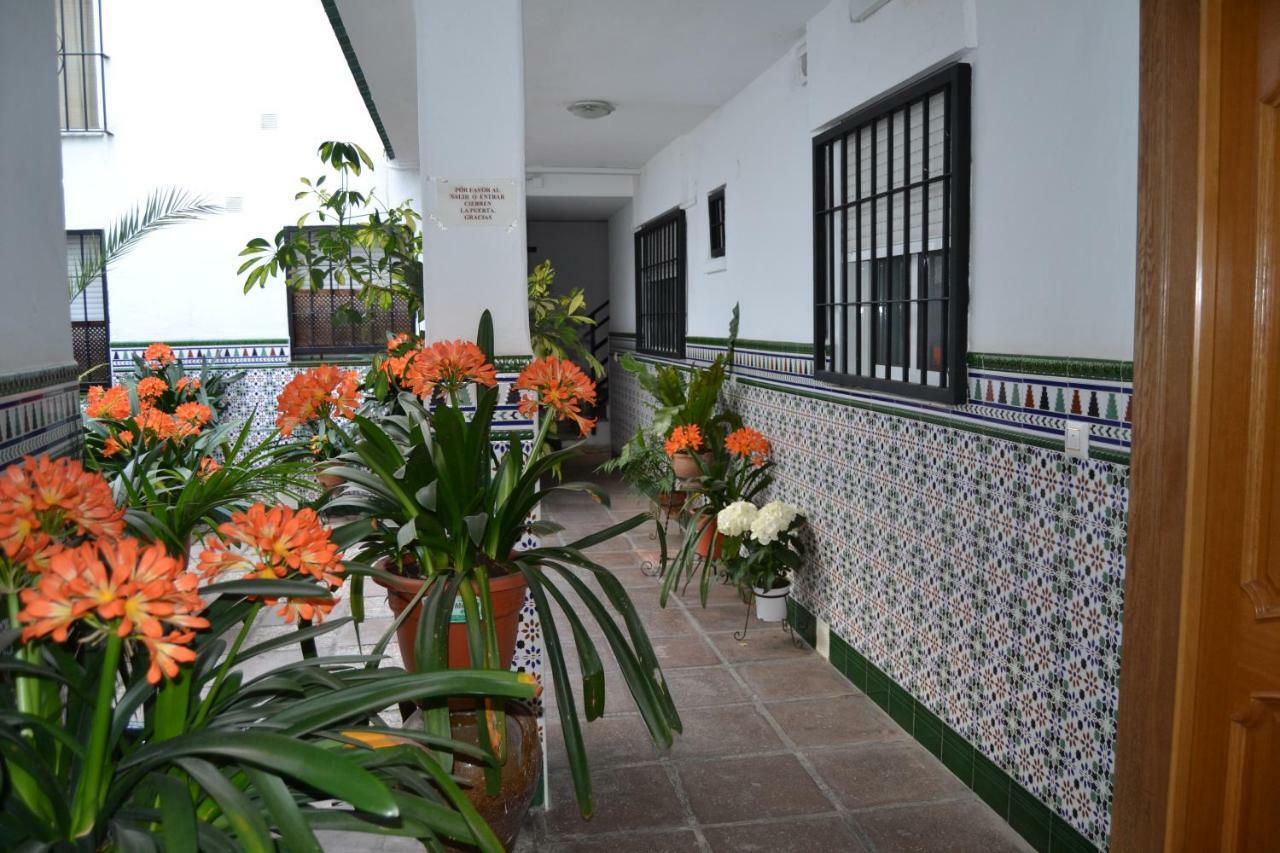 Nuevo Sueno Del Alcazar Leilighet Córdoba Eksteriør bilde