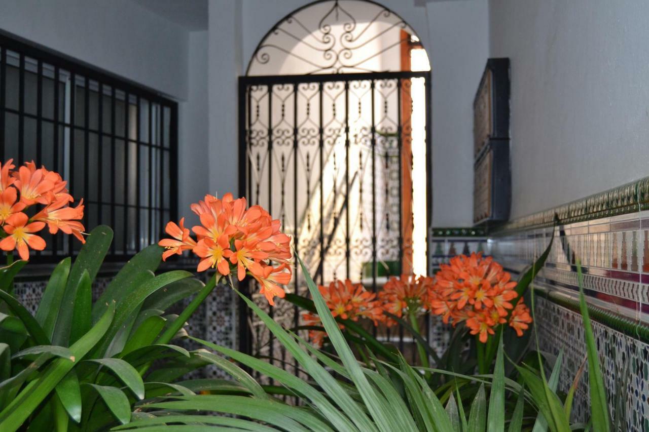 Nuevo Sueno Del Alcazar Leilighet Córdoba Eksteriør bilde