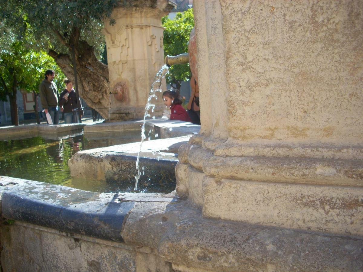 Nuevo Sueno Del Alcazar Leilighet Córdoba Eksteriør bilde